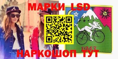 индика Будённовск