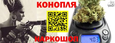 индика Будённовск