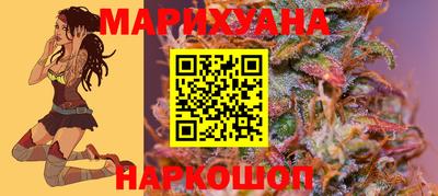 индика Будённовск