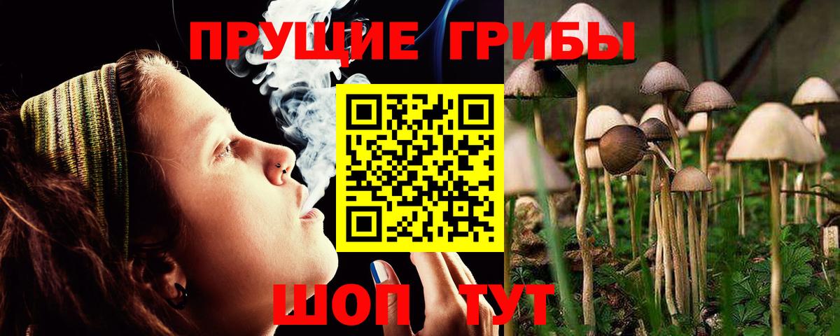 Острогожск  Псилоцибиновые грибы Magic Shrooms  Вход с VPN 