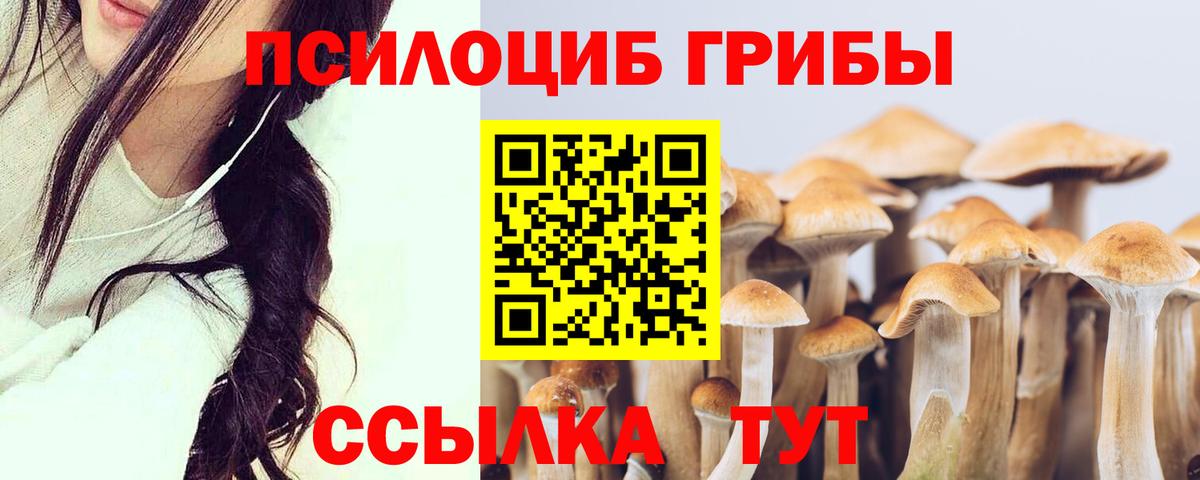 Псилоцибиновые грибы Cubensis Острогожск